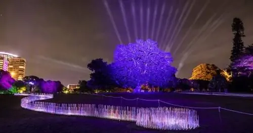 Почему вам стоит поехать в Сидней этим летом