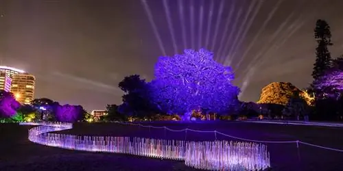 Почему вам стоит поехать в Сидней этим летом