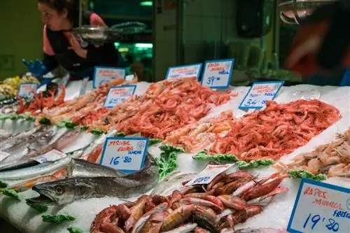 Организованный выбор свежей рыбы и морепродуктов на рынке Olivar в Пальма-де-Майорка