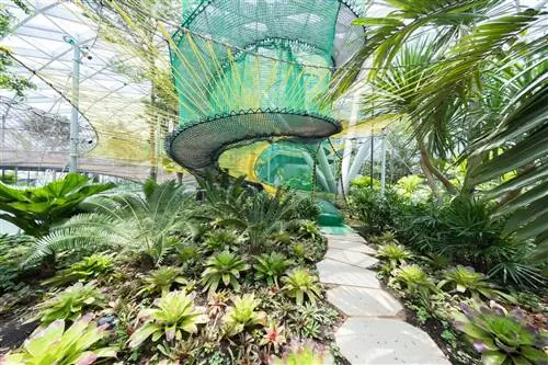 Воздушные батуты Bouncing Net откроются позже в этом году в аэропорту Jewel Changi.