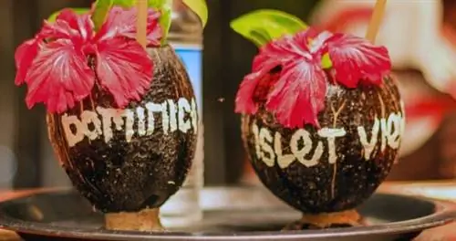 Уникальные блюда Доминики не похожи ни на что, что вы когда-либо пробовали