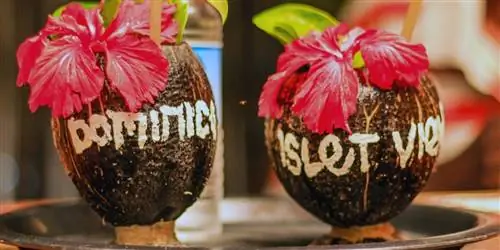 Уникальные блюда Доминики не похожи ни на что, что вы когда-либо пробовали