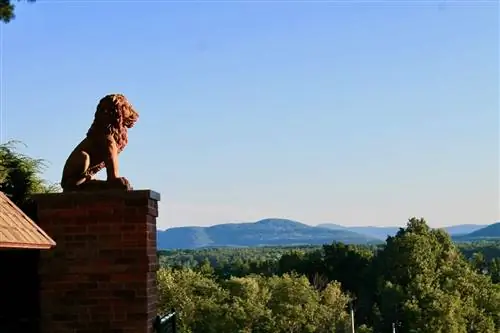 открытый-uri20190605-4814-wf96uo