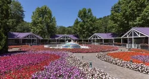 Приезжайте в спа-салон, остановитесь для щенков на уникальном курорте с садом в Бразилии