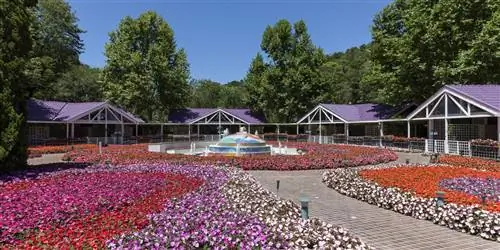 Приезжайте в спа, остановитесь на щенков в уникальном курорте с садом в Бразилии
