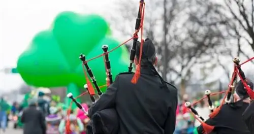 6 удивительных мест в США, которые выкладываются по полной на День Святого Патрика