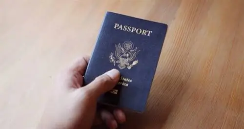 Паспорт США в руке