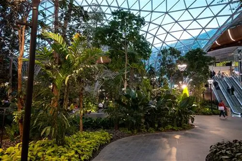 Зелень в международном аэропорту Хамад