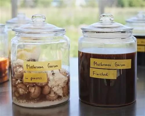 Грибы в стеклянной банке