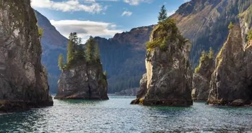 вид на скалы, выступающие из воды в национальном парке Кенай-Фьордс