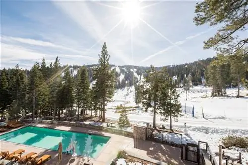 Бассейн отеля Ritz-Carlton, Lake Tahoe находится в тени вечнозеленых деревьев.