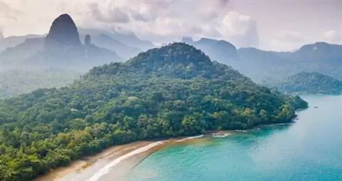 Густой лес встречается с бирюзовым морем на Принсипи