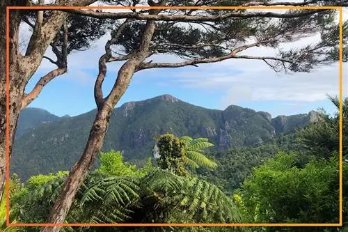 Пешеходные тропы в Новой Зеландии, такие как 15-мильная тропа Аотеа на острове Грейт-Барриер, находятся в хорошем состоянии Департамента разговорной речи страны (DOC).