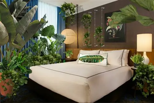 Вы можете спать в своей личной комнате в стиле тропического леса, покрытой ароидами.