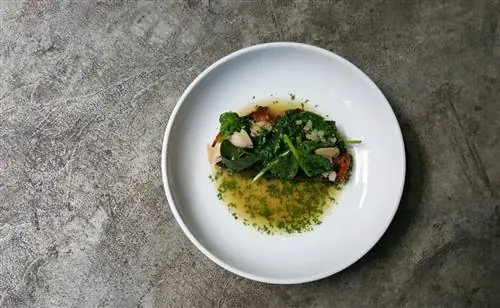 В Wildair качество натуральной винной карты сочетается с превосходным меняющимся барным меню, включающим такие блюда, как моллюски с маленькой шейкой, которые подаются со шпинатом, салом и тостами.