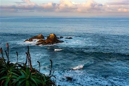 На пляже Crescent Bay можно позагорать, наблюдая за тюленями и голубыми китами.