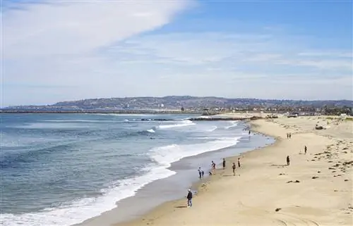 В дополнение к серфингу на Ocean Beach вы найдете рестораны, магазины и непринужденную местную культуру.