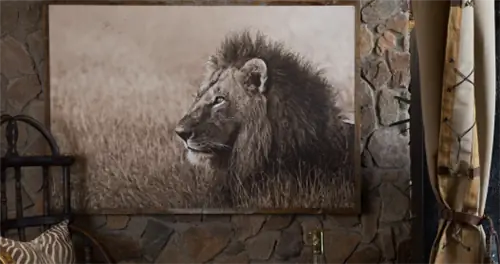 Новости роскошных путешествий: магазин Singita, оздоровительный центр для детей и круиз по Новому Свету в Океании