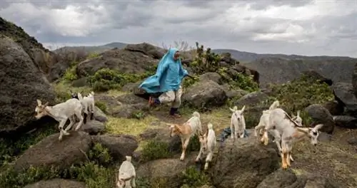 6 мест, которые стоит посетить, несмотря на негативные заголовки