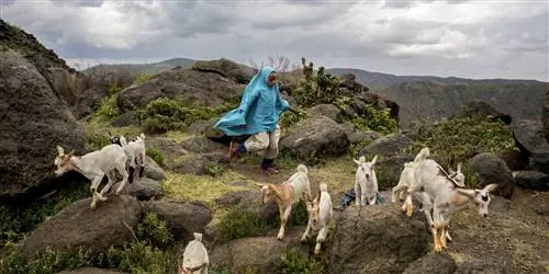 6 мест, которые стоит посетить, несмотря на негативные заголовки