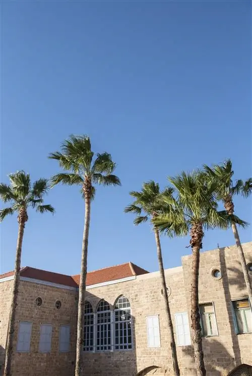 Старый город Акко находится в часе и 20 минутах езды на поезде от Тель-Авива.