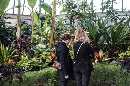 Посетители исследуют ботанические сады в заповеднике Белль-Айл в детройтском островном парке площадью 982 акра.