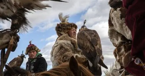 Как фестиваль орлов меняет туризм в Монголии