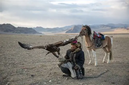 Фестиваль «Золотой орел» проводится ежегодно с 1999 года.