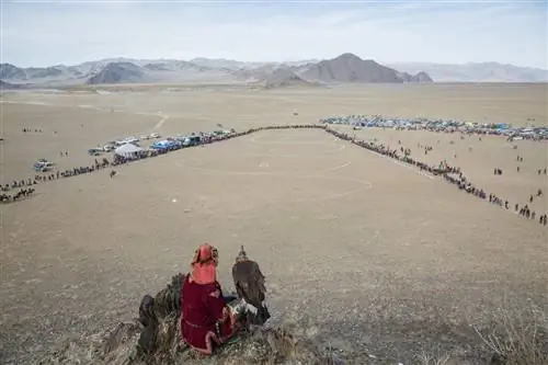 Напарник охотника на орлов ждет, пока охотник не подаст сигнал на его птицу.