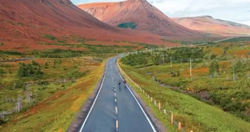 Основное руководство по Ньюфаундленду и Лабрадору