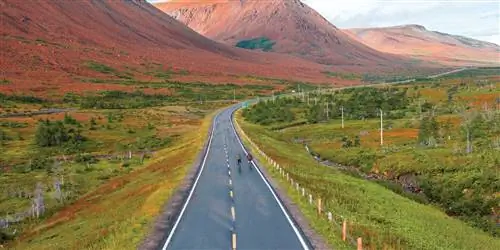 Путеводитель по Ньюфаундленду и Лабрадору