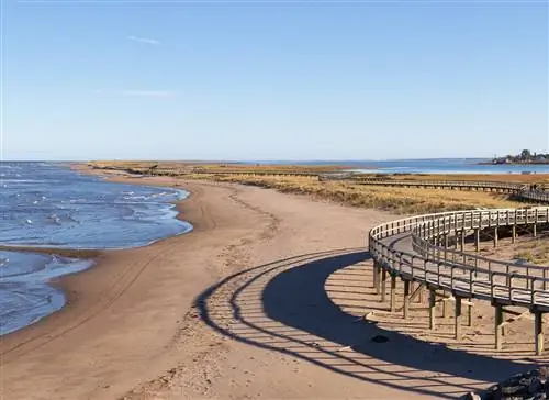 В городе Буктуш есть 7,5 миль великолепных песчаных дюн.