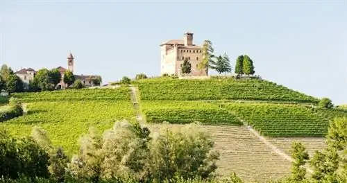 Это безумие: вы можете поехать в Италию бесплатно благодаря Nutella