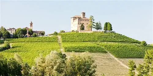 Это безумие: благодаря Nutella вы можете поехать в Италию бесплатно