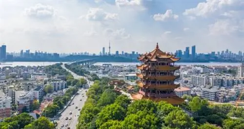 Запреты на поездки из-за коронавируса беспрецедентны. Но будут ли они работать?