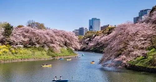 Путеводитель по Токио для консьержа