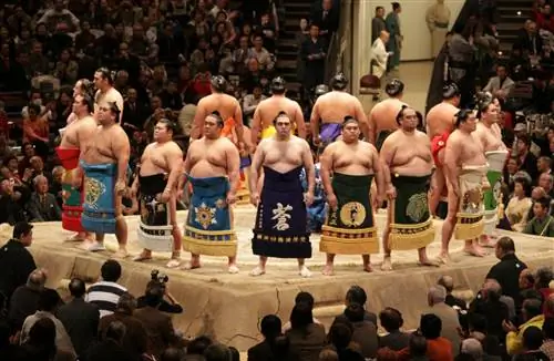 Билеты на матчи сумо, которые проводятся в Токио всего несколько раз в год, может быть трудно достать, поэтому лучше планировать заранее.