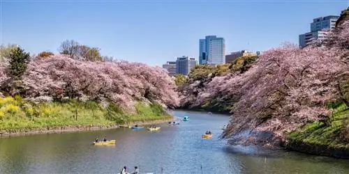 Путеводитель по Токио для консьержа