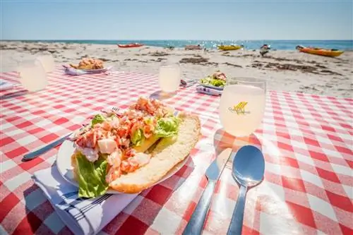 Морское приключение и пляжный праздник