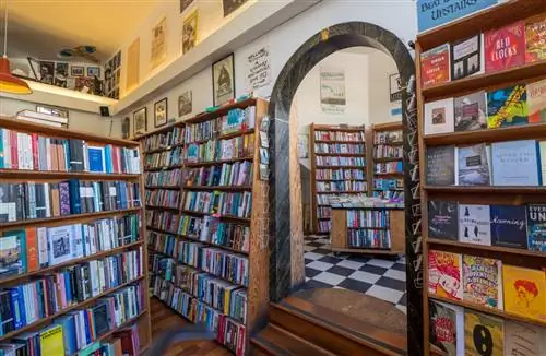 City Lights начинался как первый книжный магазин в мягкой обложке в Соединенных Штатах.