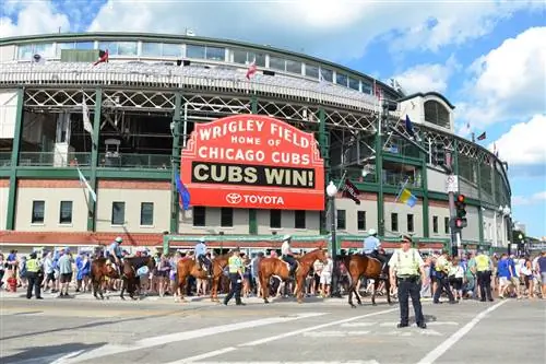 Посещение бейсбольного матча на стадионе Wrigley Field - это типичный опыт Чикаго.