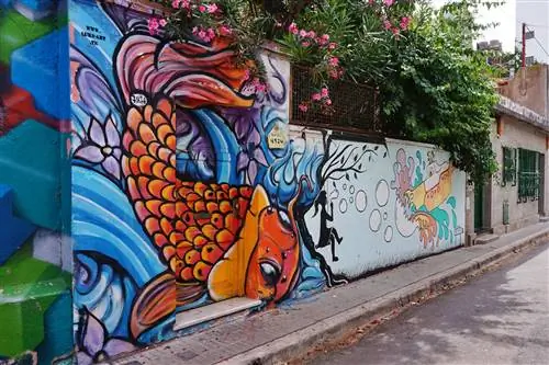 Барриос (районы), такие как Палермо, Вилла Креспо, Сан-Тельмо и Колегиалес, известны ярким уличным искусством.