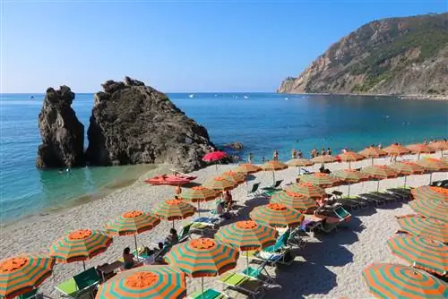 Европейская комиссия считает, что европейцы вскоре смогут часто посещать пляжи, бассейны, кафе, бары и рестораны, в которых приняты надлежащие меры физического дистанцирования.