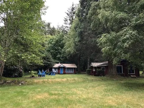 Две хижины, окруженные высокими кедрами и соснами.