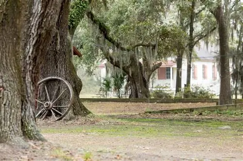 Узнайте все о культуре Гуллах в Пенсильванском центре, бывшей школе для освобожденных рабов.