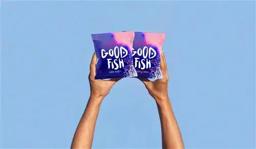 Чипсы из кожи лосося Goodfish - это устойчивая, богатая белком альтернатива картофельным чипсам.