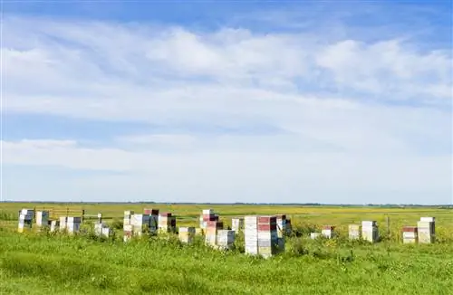 Северная Дакота - Shutterstock
