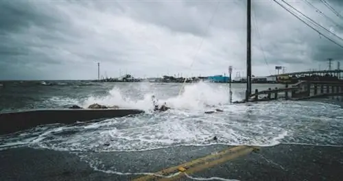 Как отмена страхования путешествий по любой причине может (и не может) помочь вам