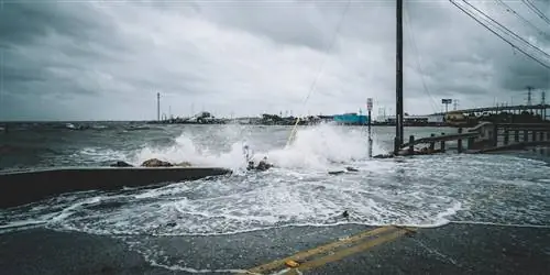 Как отмена страхования путешествий по любой причине может (и не может) помочь вам