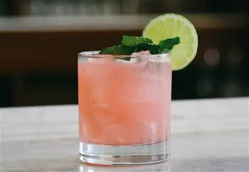 The American Trade Hotel & Hall’s Seco Sour представляет собой панамский вариант классического писко сауэр.
